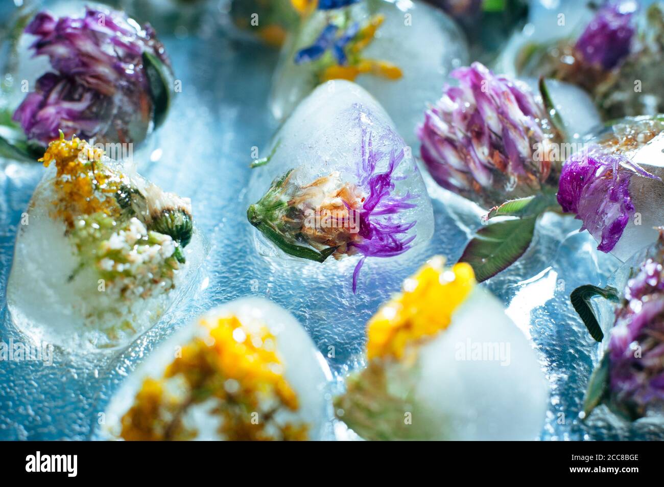 Flores silvestres en forma de corazón bloques de hielo sobre fondo de vidrio Foto de stock