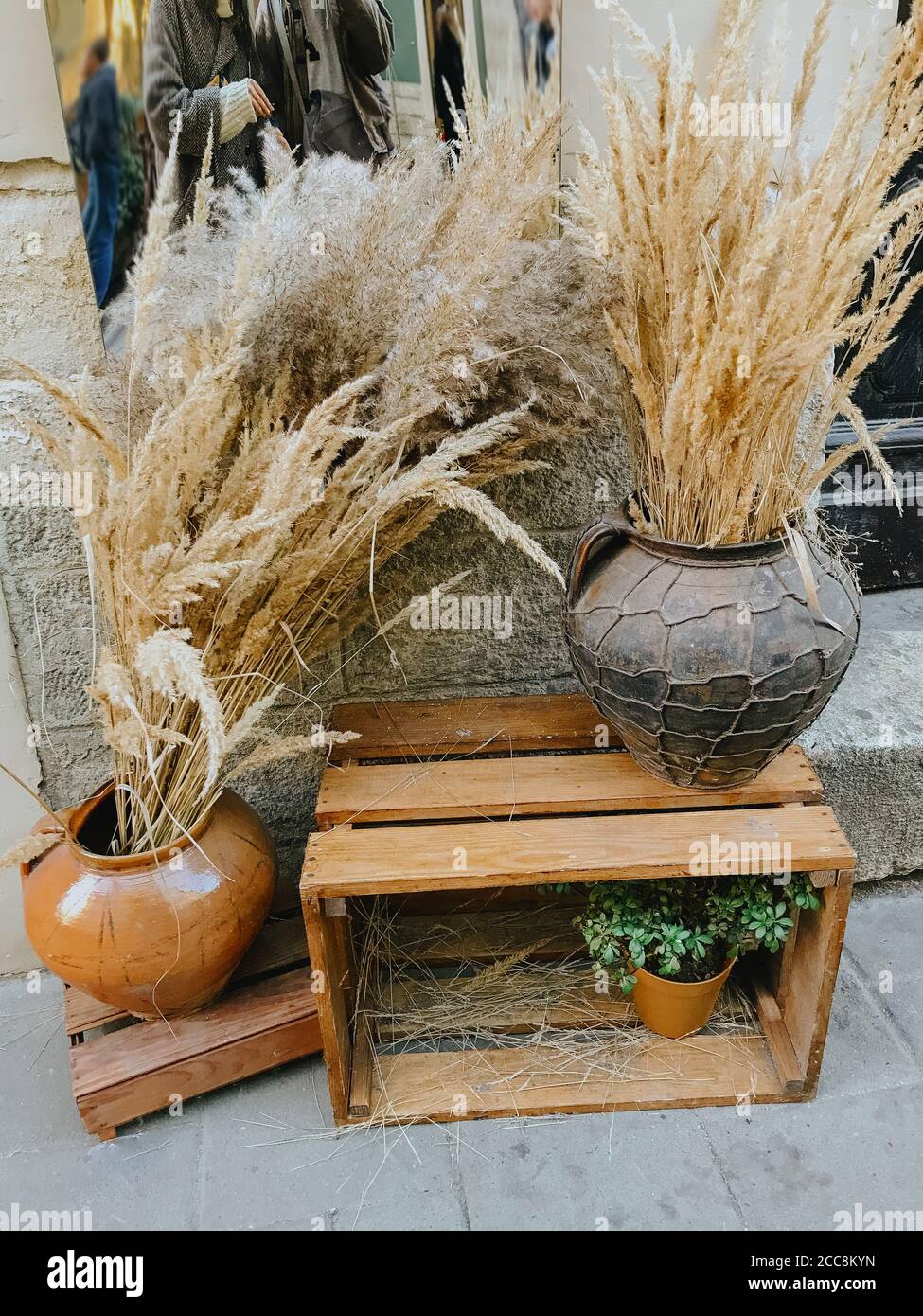 Hierbas secas y hierba en jarrones rústicos modernos en cajas de madera,  decoración festiva de otoño en la calle de la ciudad. Decoración moderna de  Halloween. Feliz día de Acción de Gracias