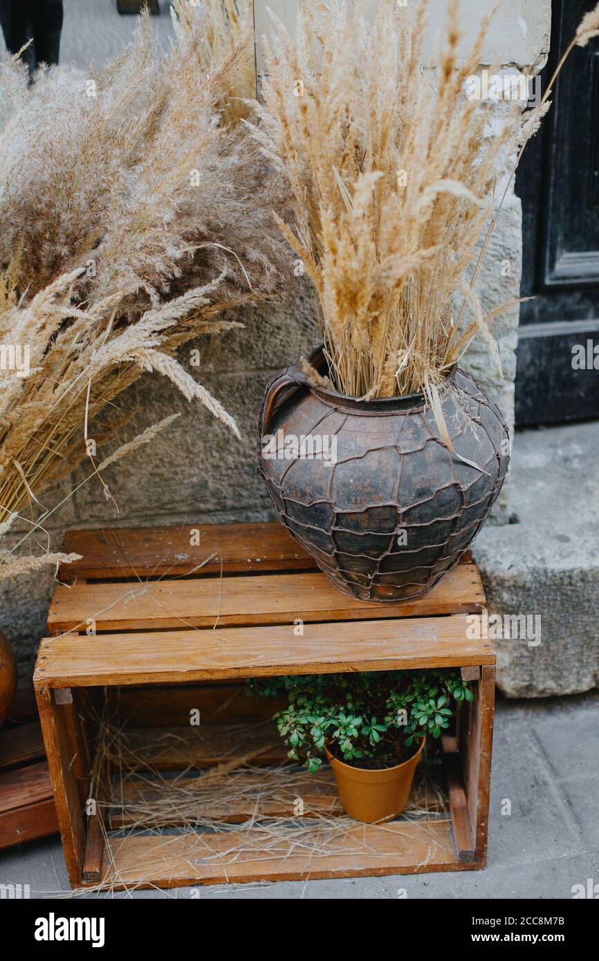 Hierbas secas y hierba en jarrones rústicos modernos en cajas de madera,  decoración festiva de otoño en la calle de la ciudad. Decoración moderna de  Halloween. Feliz día de Acción de Gracias