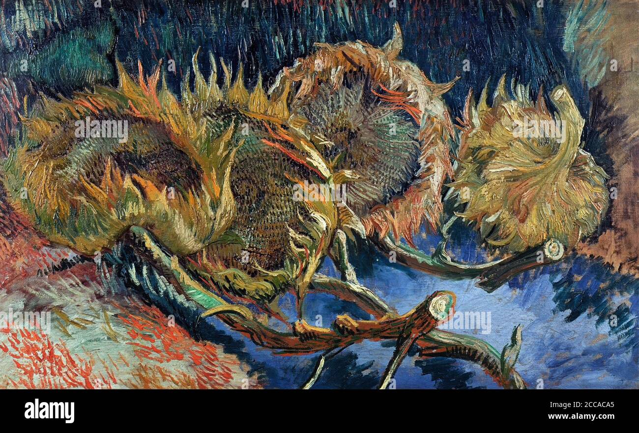 Cuatro girasoles cortados. Museo Museo KröllerMüller,