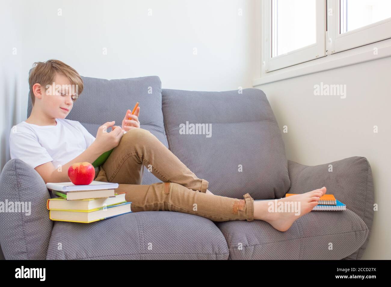 Colegiala leyendo un libro sentado en el sofá en casa - preparándose para las lecciones durante el estudio en línea en cuarentena. Educación en línea o educación personal Foto de stock