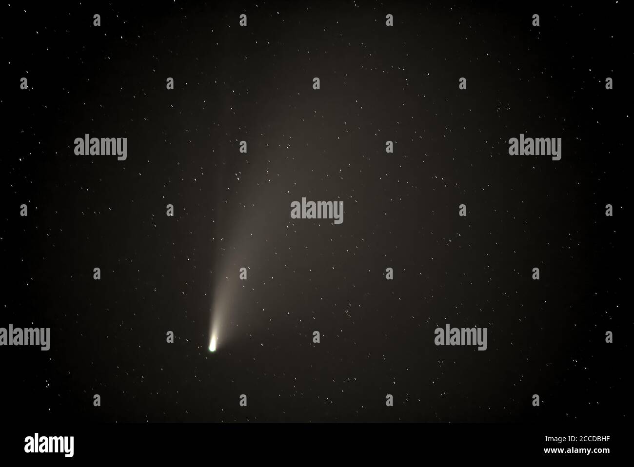 Foto de primer plano del Cometa NeoWise de 2020. Este cometa no volverá por casi 7000 años, según la NASA. Tomada con una lente de 200 mm. Foto de stock