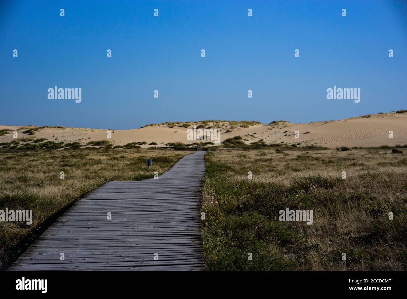 camino sinuoso a una duna Foto de stock
