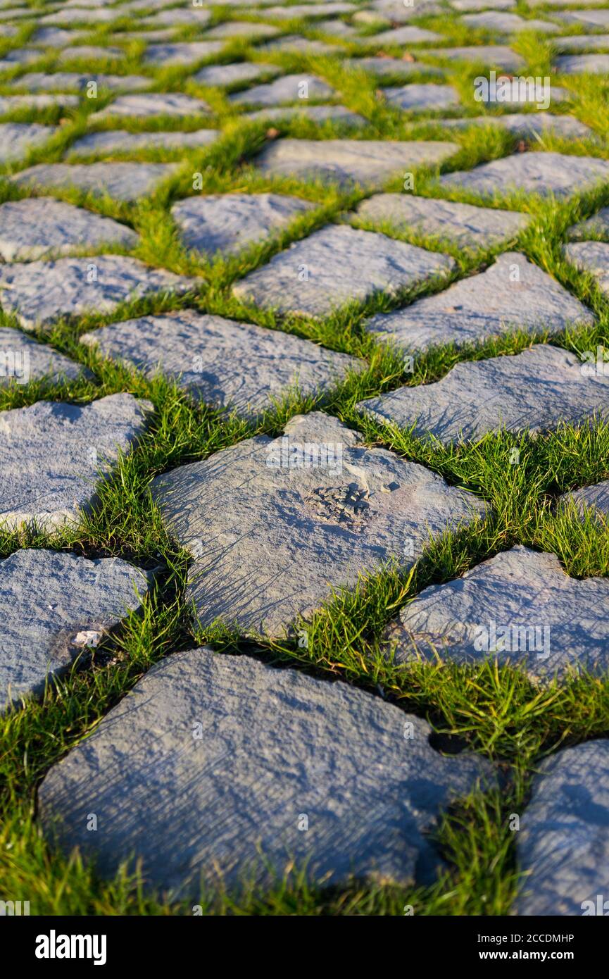 Azulejos hechos de piedras y hierba verde. Detalle de pavimentación natural. Patrón de rejilla irregular Foto de stock