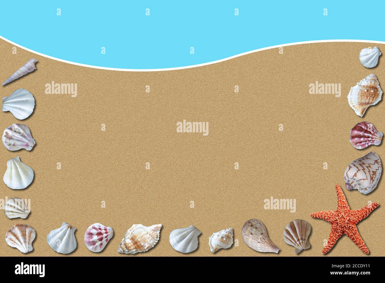 Playa de arena fondo de verano con conchas marinas circundantes y borde ondulado y espacio de copia. Foto de stock