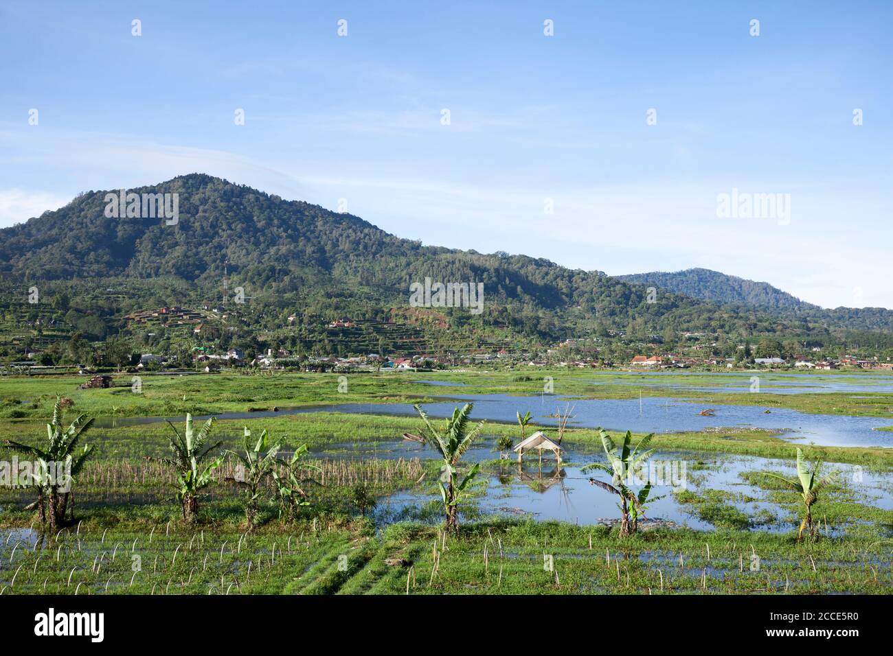 Lago Buyan, Bali Foto de stock