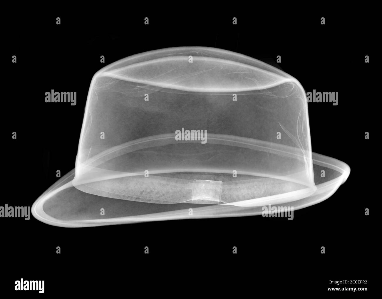 Sombrero Trilby, rayos X. Foto de stock