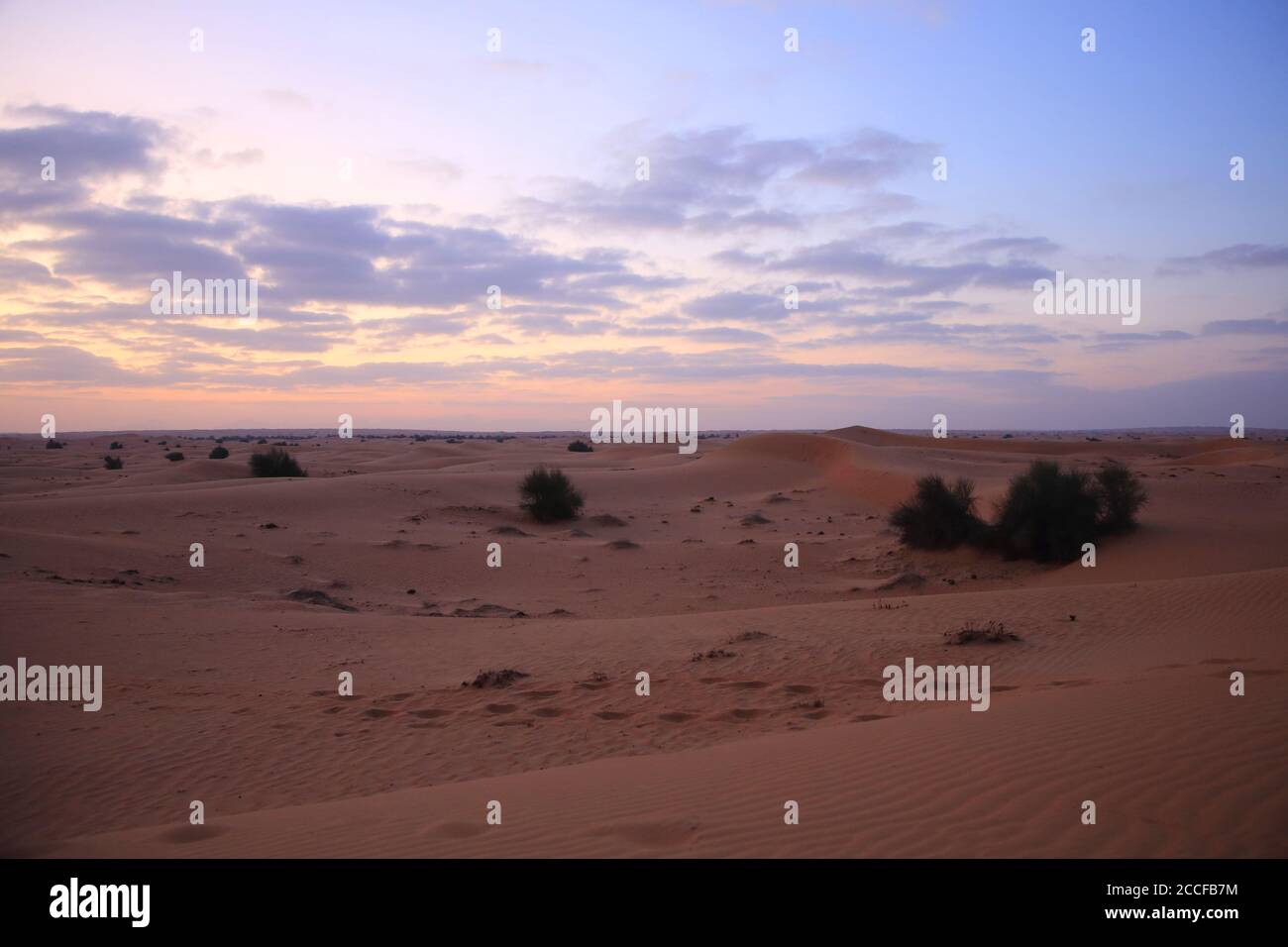 Amanecer en el desierto en Abu Dhabi, EAU Foto de stock