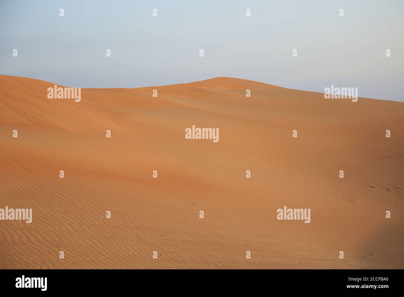 Amanecer en el desierto en Abu Dhabi, EAU Foto de stock