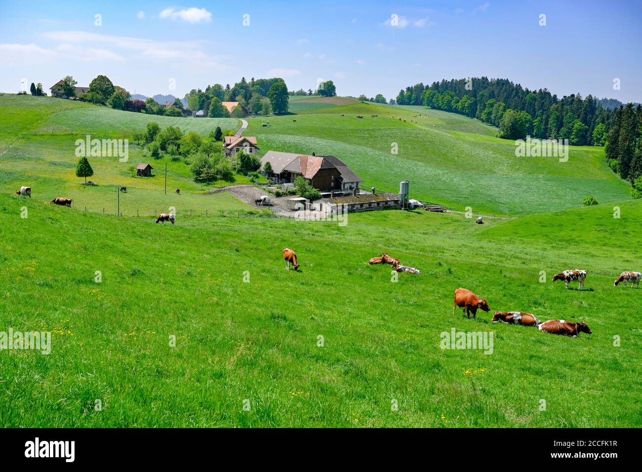 Granja con pastura de vaca, Affoltern IE, Suiza Foto de stock
