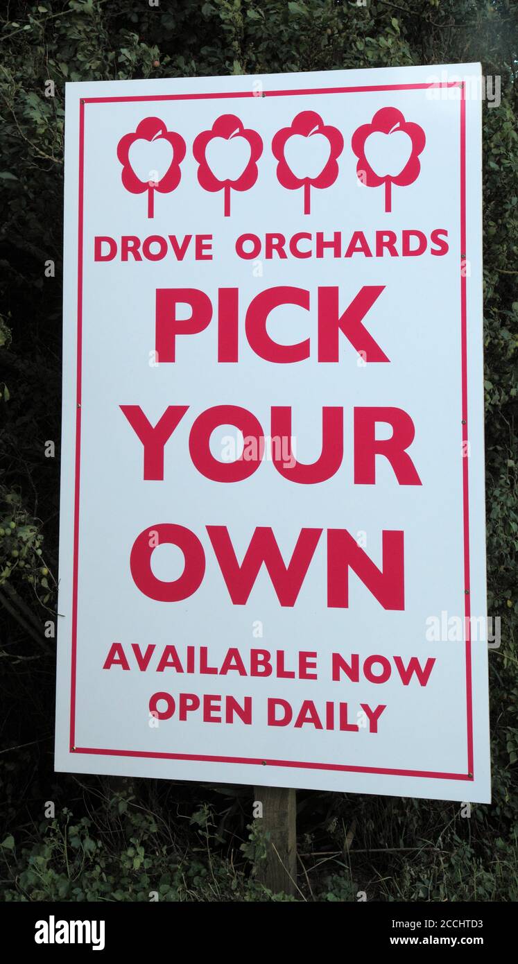 Elige el tuyo propio, manzanas, señal de carretera, huertos conducidos, Norfolk, Inglaterra Foto de stock