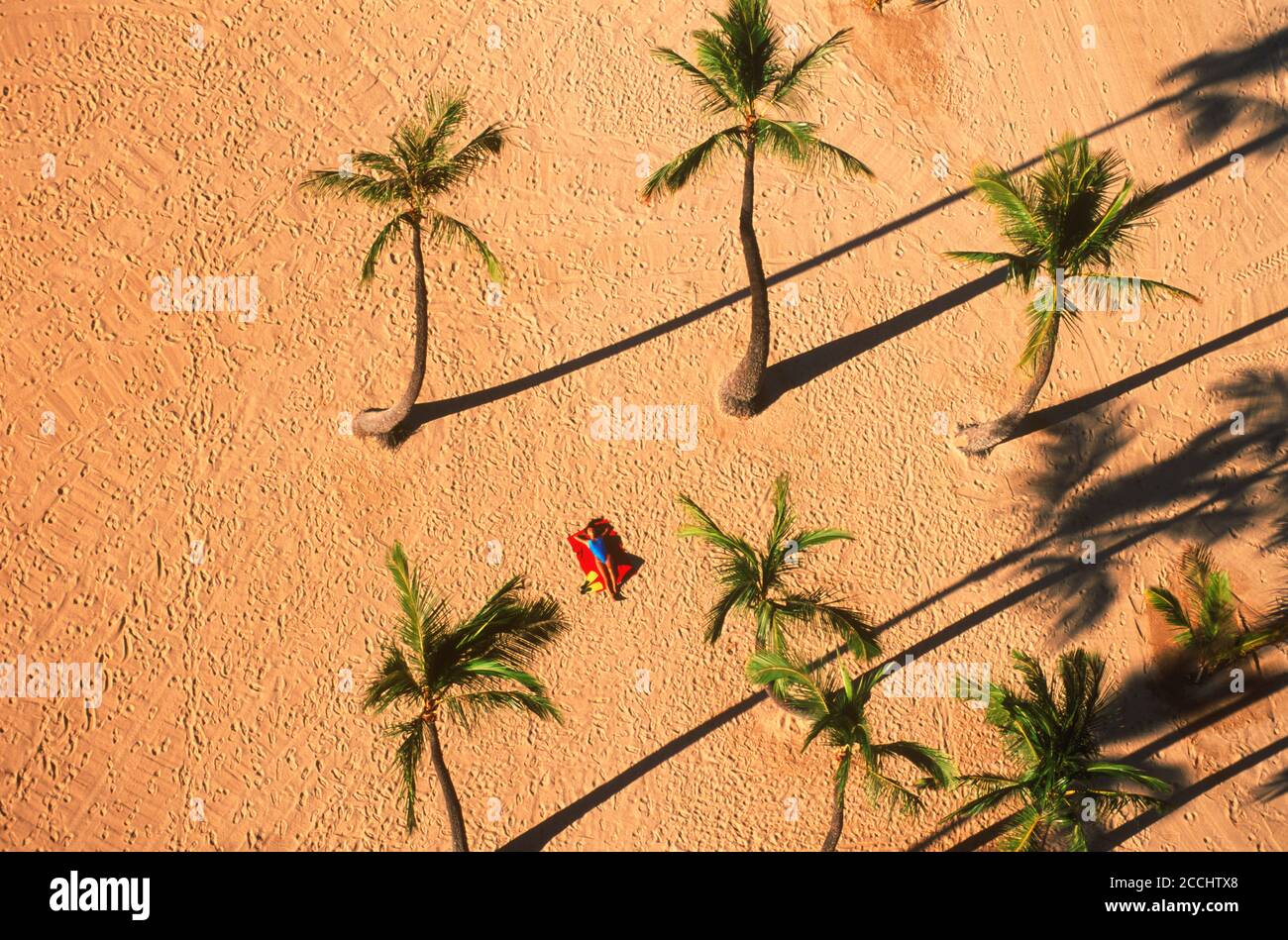 Mujer sola en la playa de Waikiki, en medio de palmeras desde arriba Foto de stock