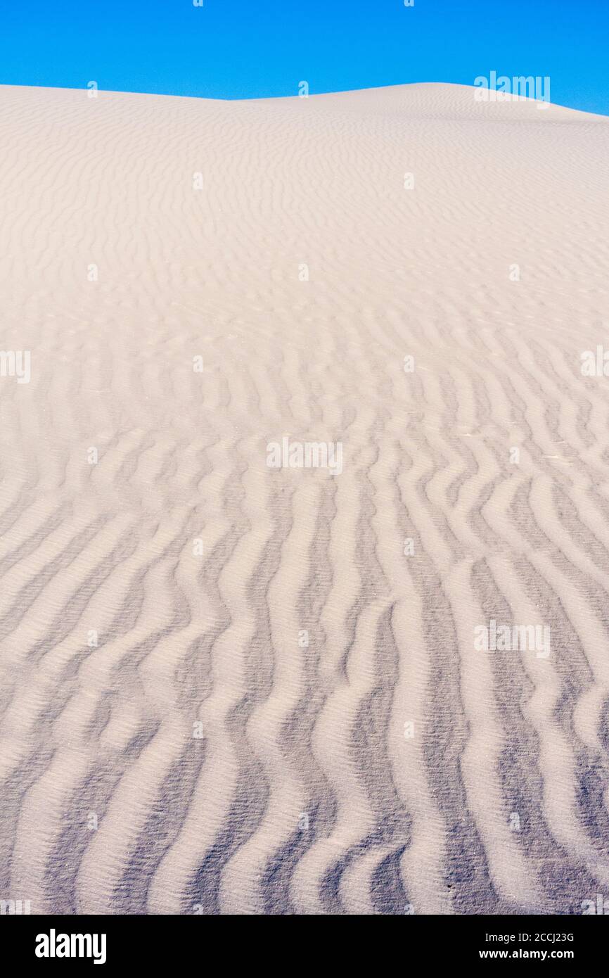 Dunas de arena en el Parque Nacional White Sands en Nuevo México en una mañana fría en febrero. Extremo norte del desierto de Chihuahua. Foto de stock