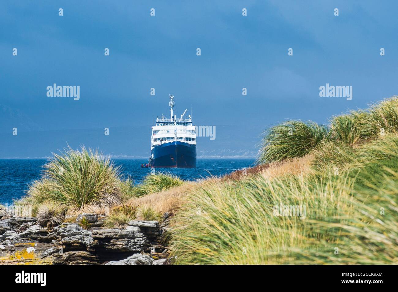Reino Unido, Islas Malvinas, Crucero llegando a la Isla Carcass Foto de stock