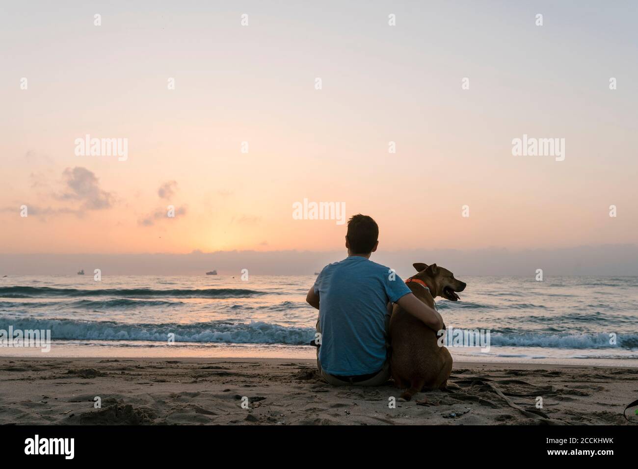 Hombre sentado con su perro disfrutando del amanecer en la playa Foto de stock
