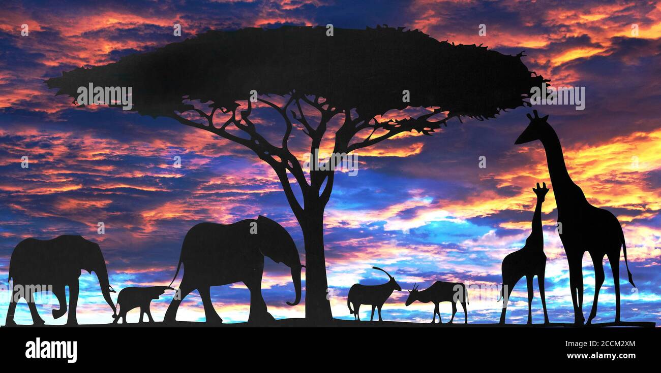 Escena de safari africano compuesto con un fondo de puesta de sol. Silueta de animales animados negros sobre un fondo de puesta de sol Foto de stock