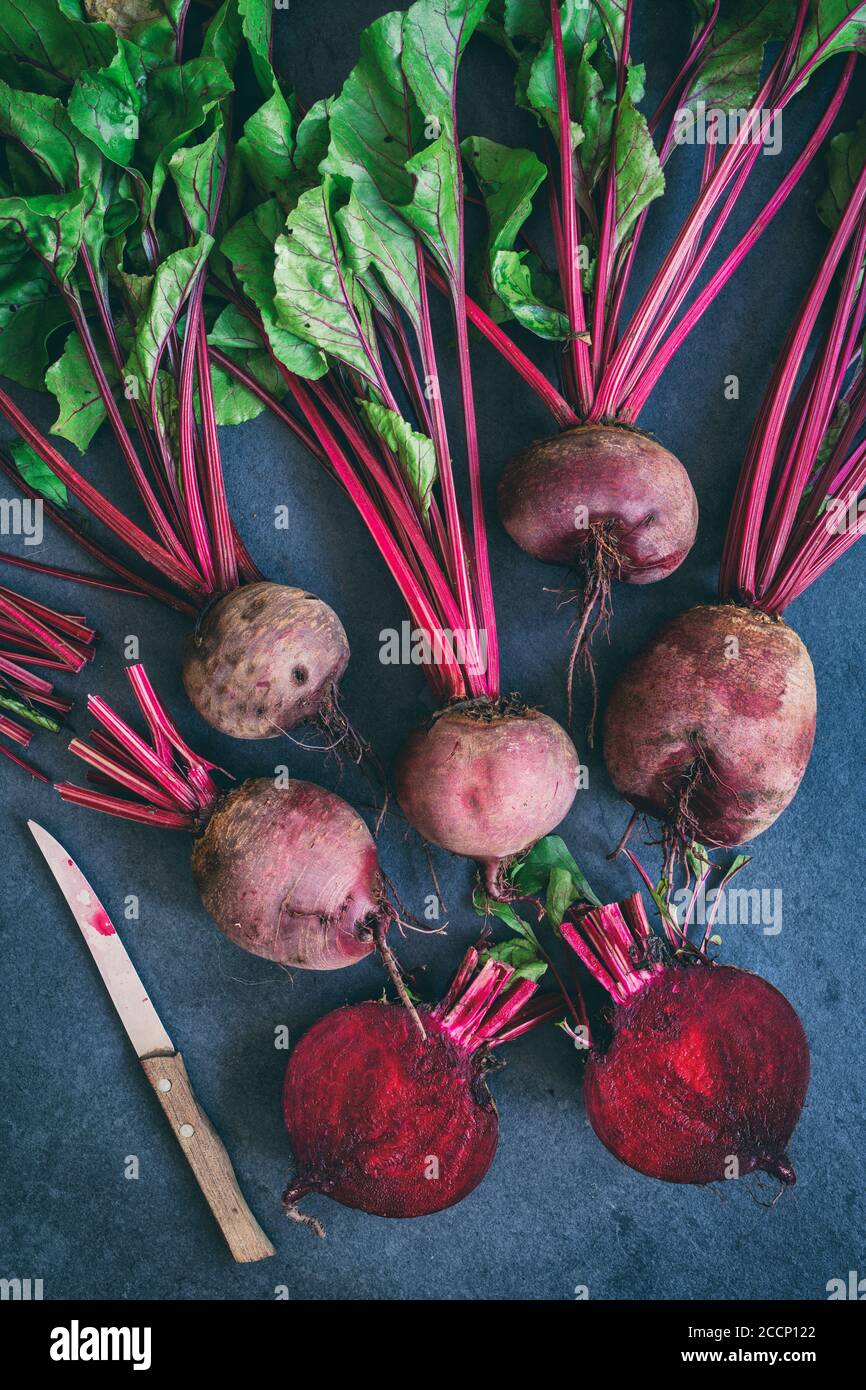 Beta vulgaris . Raíces de escarabajos rojas cosechadas Foto de stock