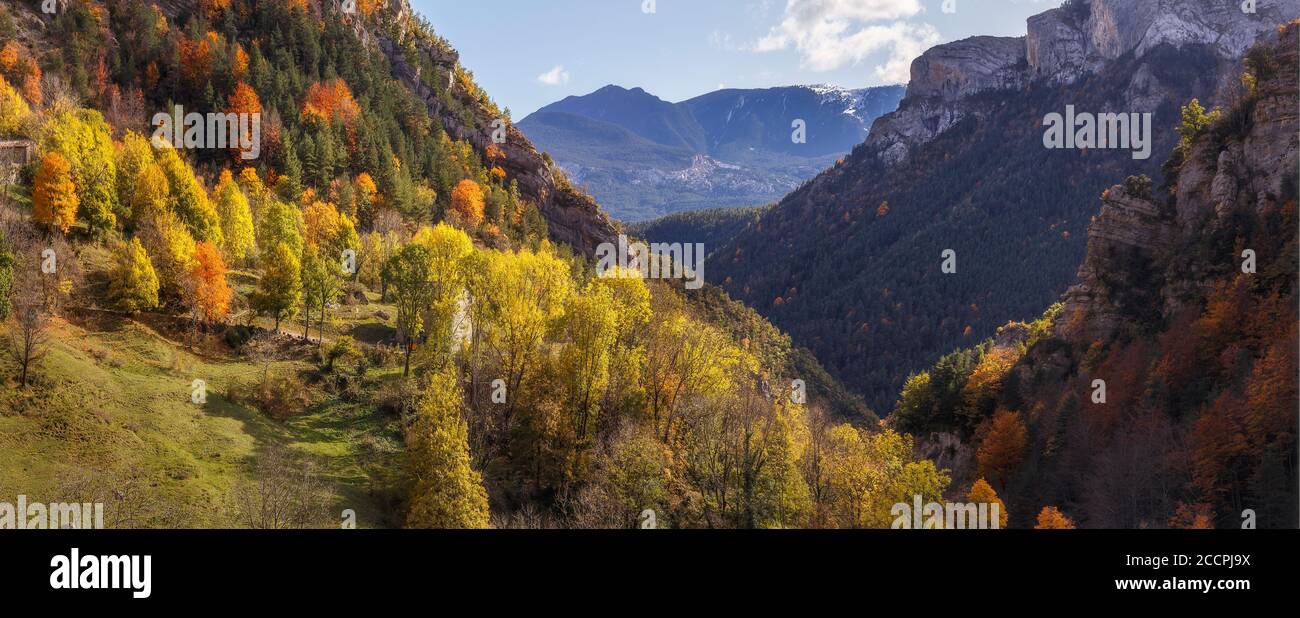 Paisaje de árboles otoñales, temporada de otoño en Bergueda, Cataluña Foto de stock