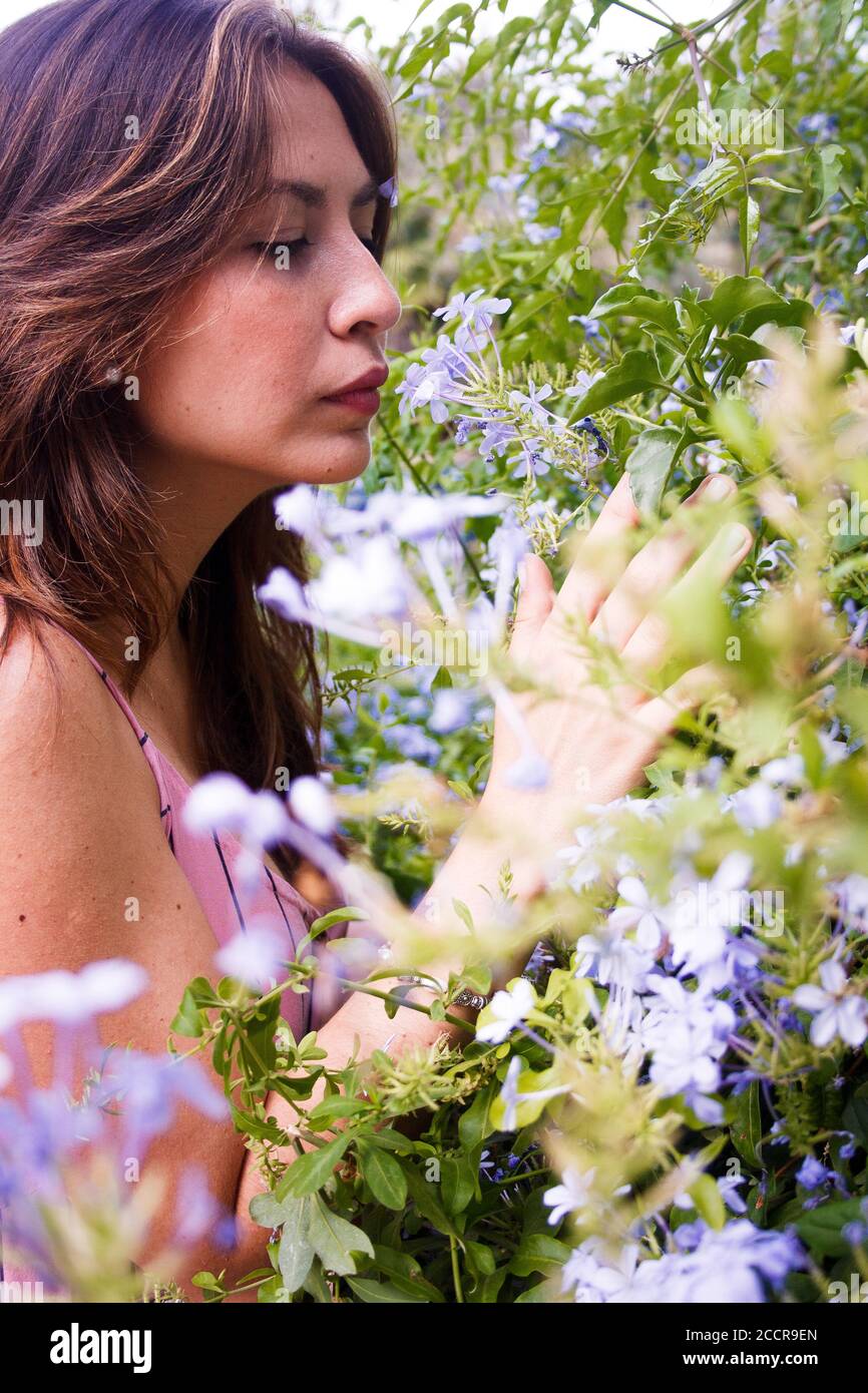 Mujer joven acercada para observar flores silvestres. Primer plano medio. Vista vertical. Foto de stock