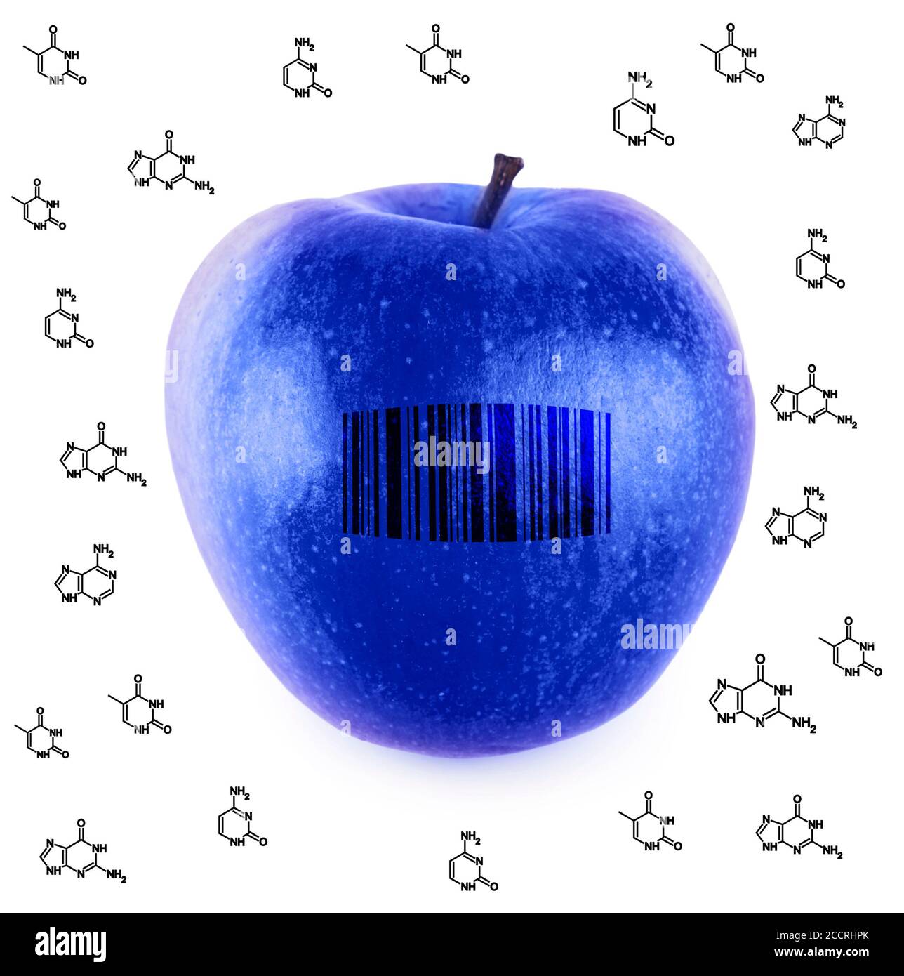 Alimentos OGM. Manzana azul genéticamente modificada con código de barras, collage con moléculas. Fondo blanco Foto de stock