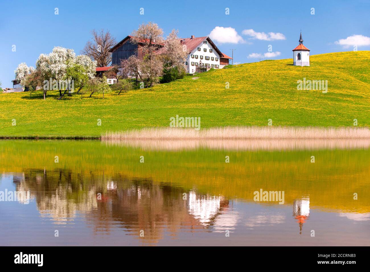 Panorama im Allgäu mit Bauernhof und Kapelle im Frühling Foto de stock