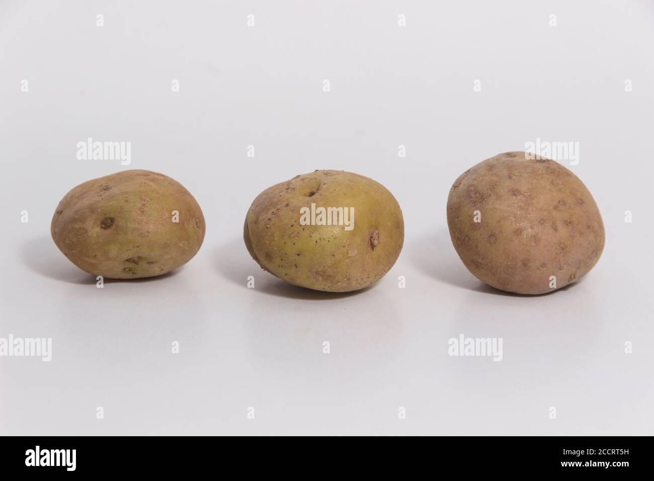 Tipos de patatas - papas peruanas todavía la vida - Blanco patata Foto de stock