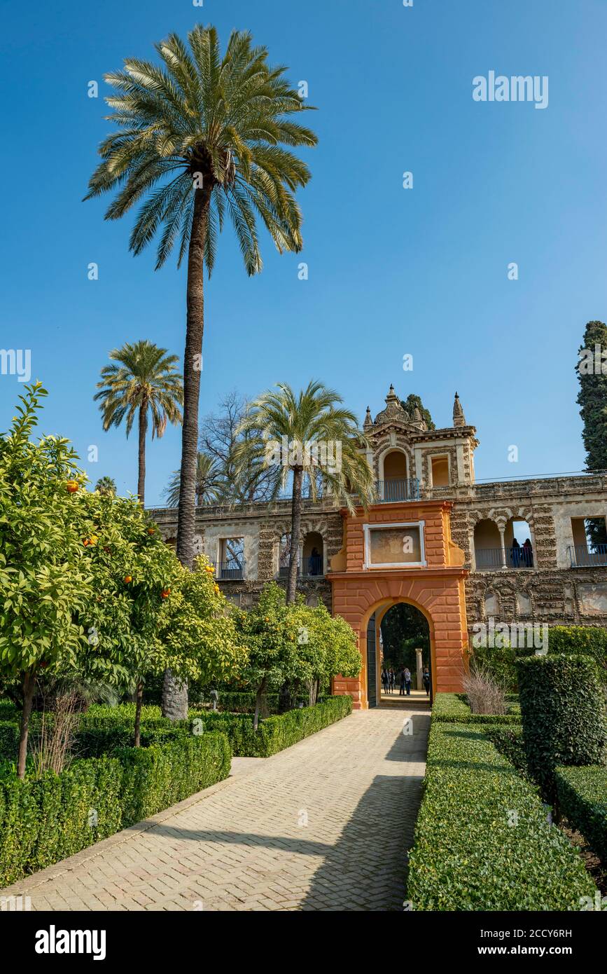 Puerta Amarilla en la Galería del Grutesco, Jardines del Alcázar, Palacio Real, Real Alcázar de Sevilla, Sevilla, España Foto de stock