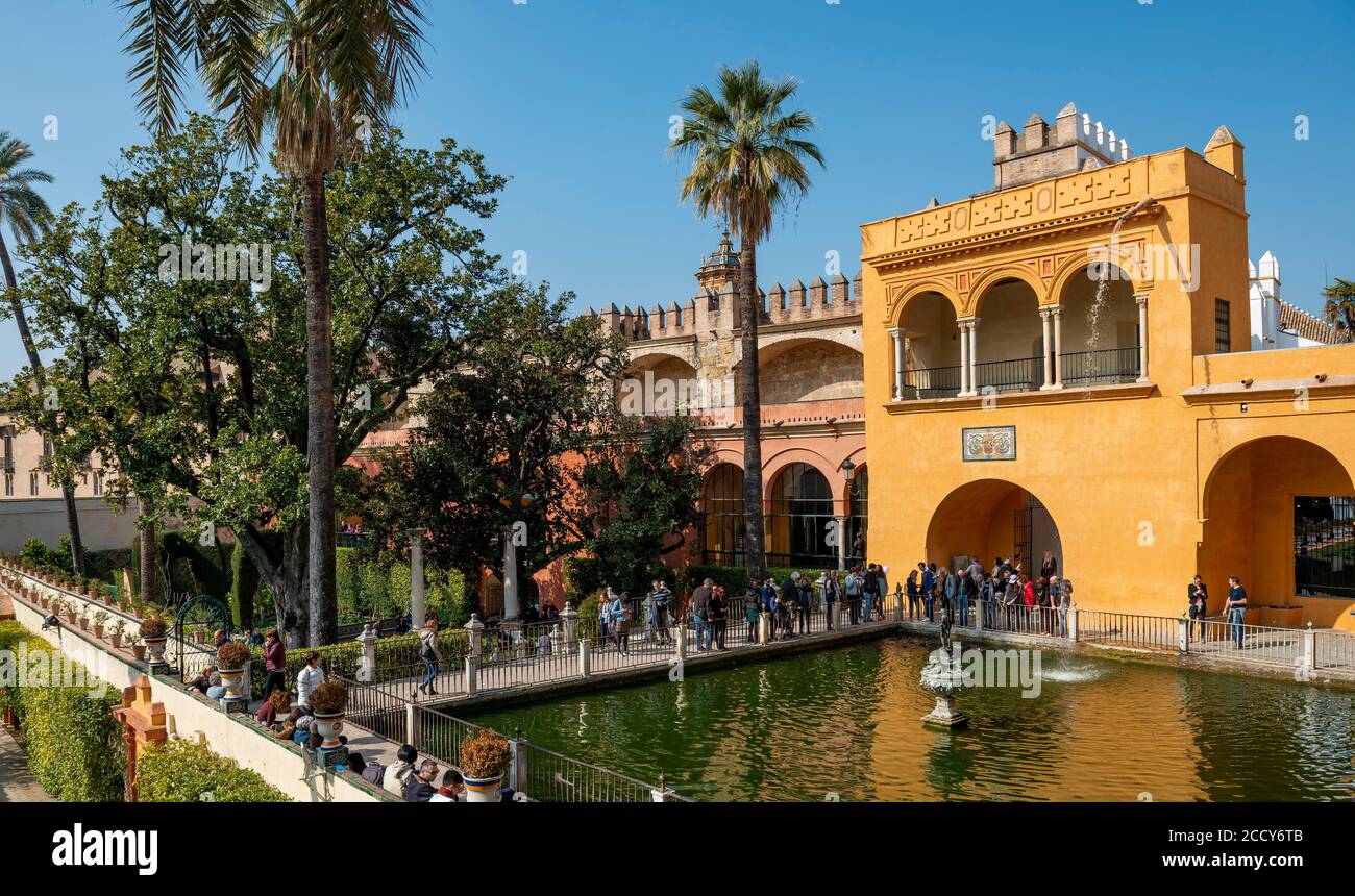Estanque del Mercurio, Jardines del Alcázar, jardines con palmeras en el Alcázar, Palacio Real, Real Alcázar de Sevilla, Sevilla, España Foto de stock