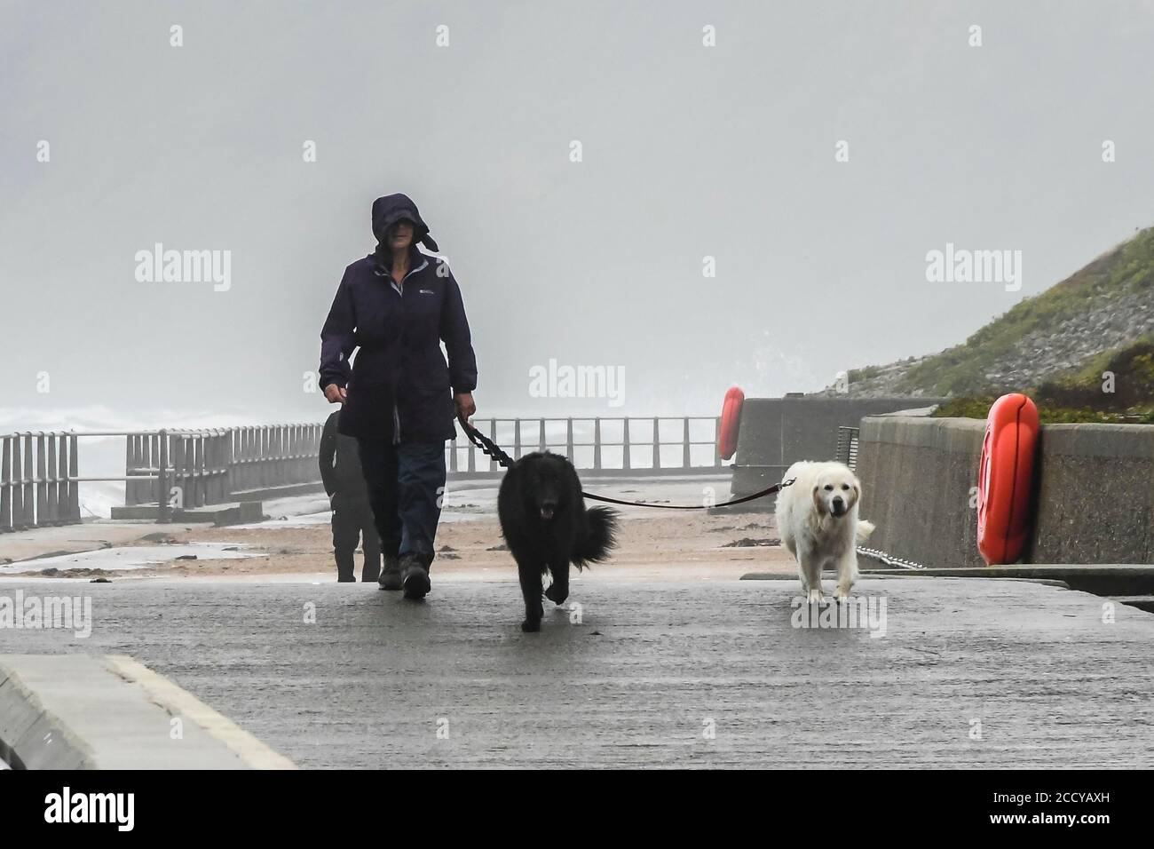 West Bay, Dorset, Reino Unido. 25 de agosto de 2020. El tiempo en el Reino Unido. Un caminante de perros lucha contra el viento gusty de la tormenta Francis en la estación costera de West Bay en Dorset en una mañana húmeda. Crédito de la imagen: Graham Hunt/Alamy Live News Foto de stock