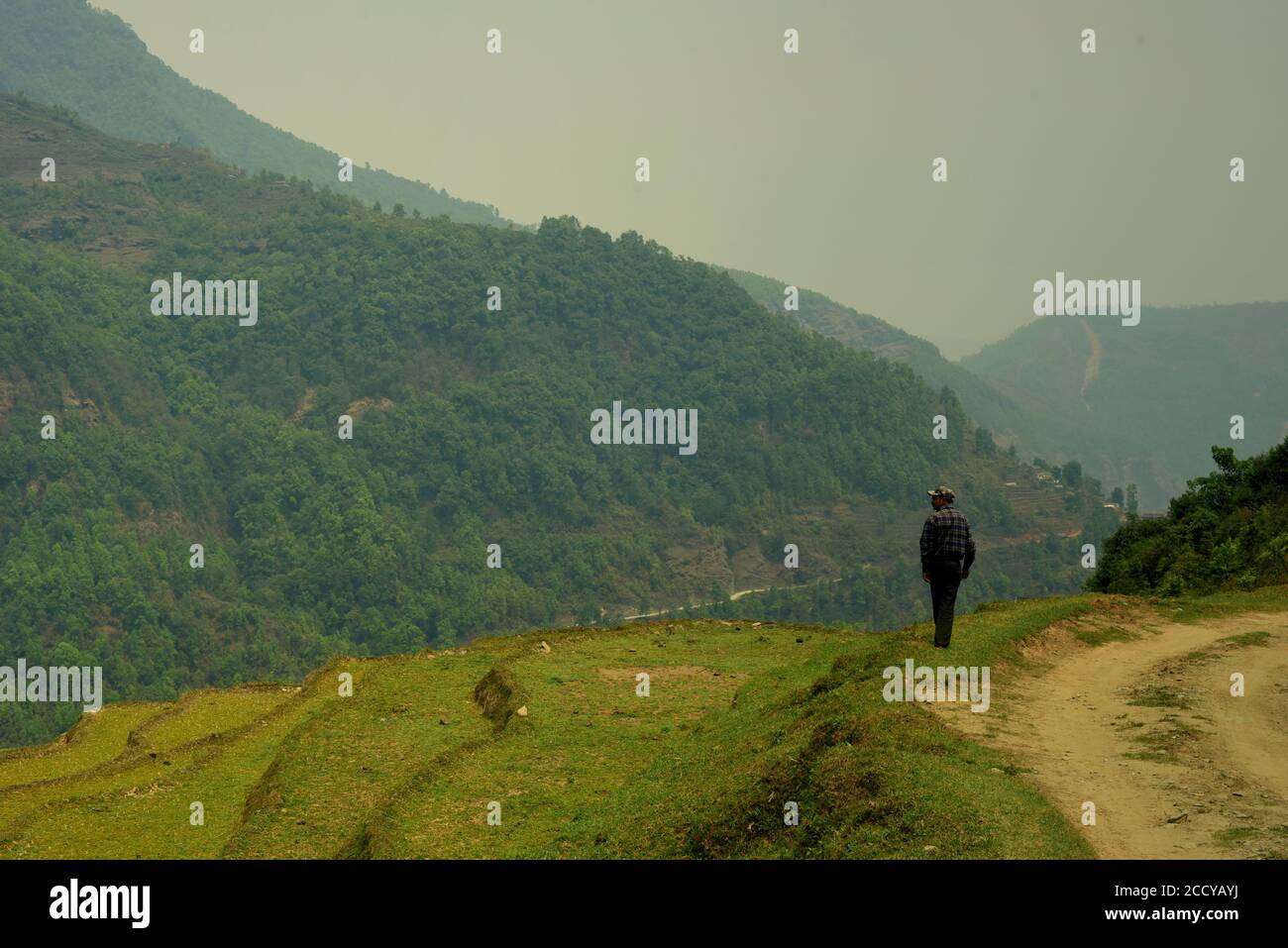 Un hombre de pie en el lado de la carretera rural, con vistas a la terraza de arroz, el valle y la cadena montañosa de Panchase en la provincia de Gandaki Pradesh, Nepal. Foto de stock