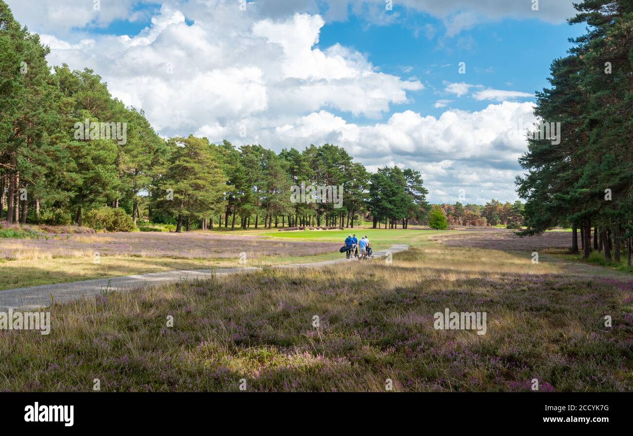 Vista del campo de golf o club de Sunningdale en Berkshire, Inglaterra, Reino Unido, con los golfistas caminando Foto de stock