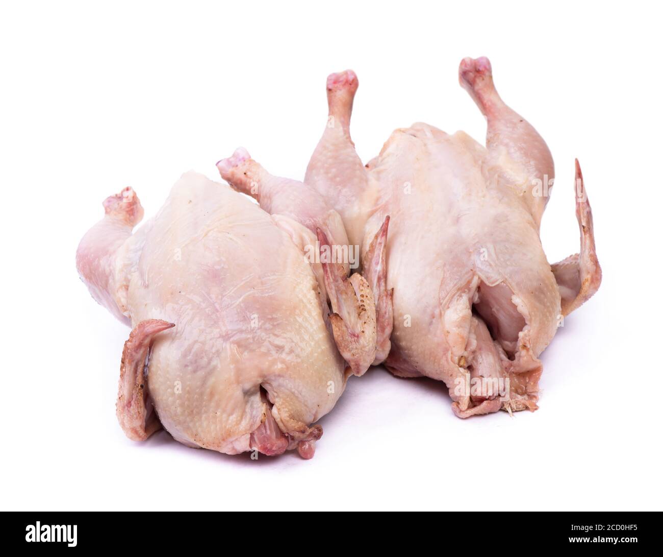 Dos cascaras de pollo crudo aisladas sobre fondo blanco Fotografía de stock  - Alamy