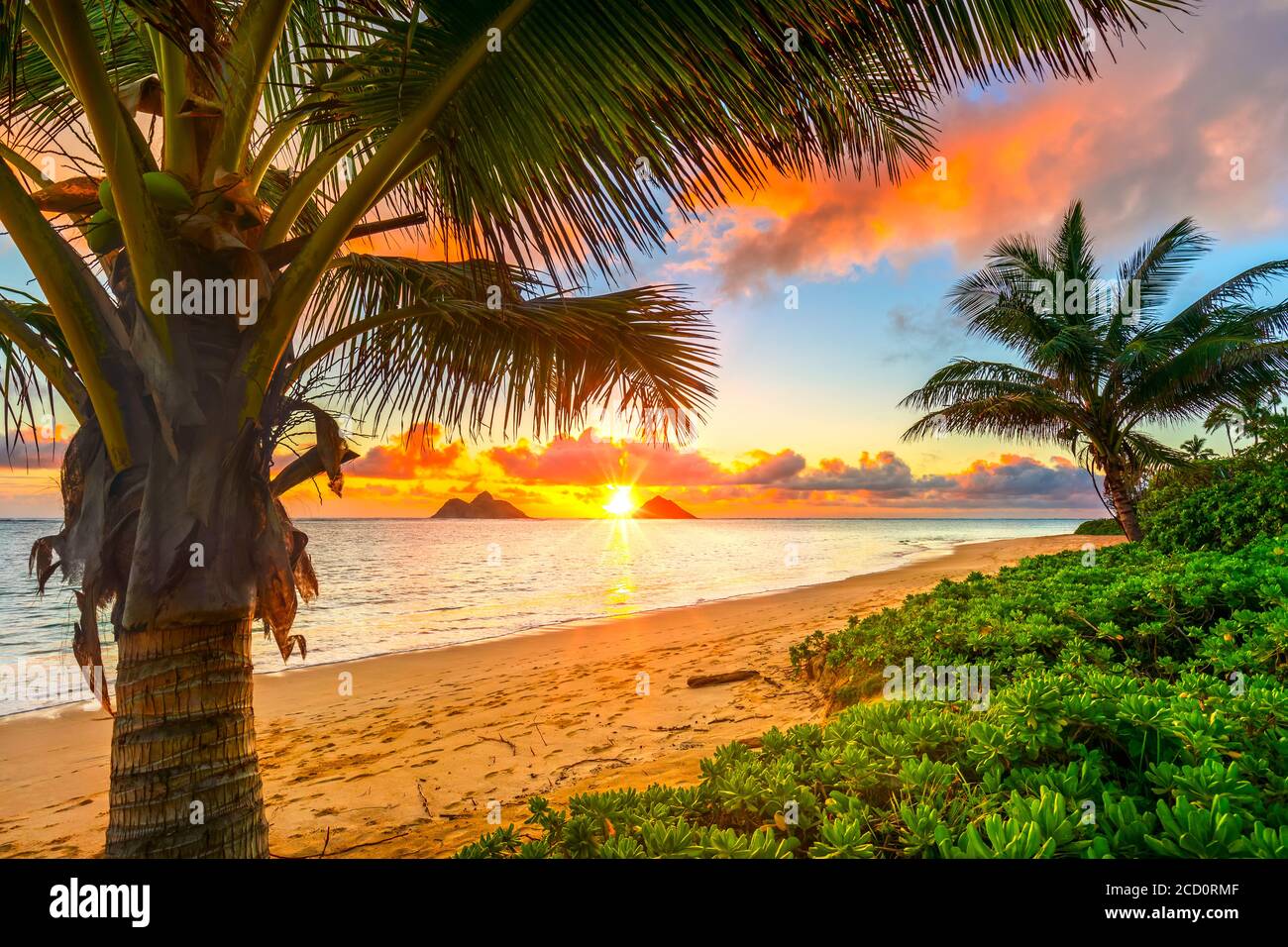 Amanecer brillante sobre las islas Mokulua, visto desde la playa Lanakai en la costa de Oahu; Oahu, Hawai, Estados Unidos de América Foto de stock