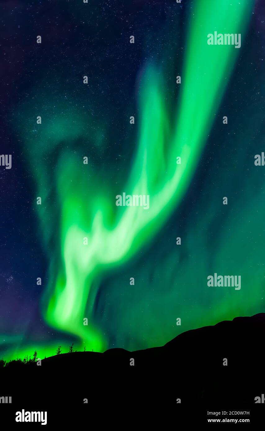 aurora intensa en forma de antler que ondeaba sobre el Monte Fairplay, Taylor Highway, Alaska interior en otoño; Alaska, Estados Unidos de América Foto de stock