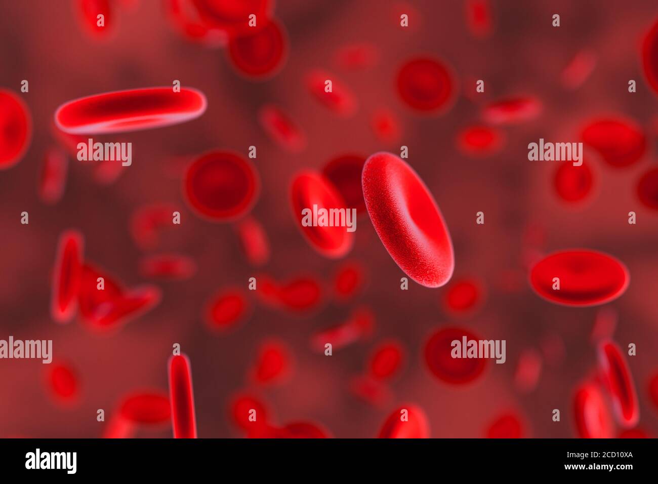 Un primer plano de las células sanguíneas humanas (presentación en 3d) Foto de stock