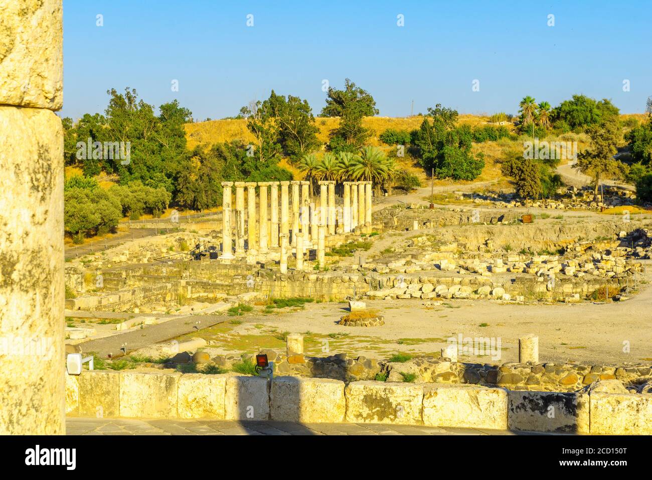 Vista de los restos de la antigua ciudad romana-bizantina de Bet Shean (Nysa-Escitópolis), ahora un Parque Nacional. Norte de Israel Foto de stock