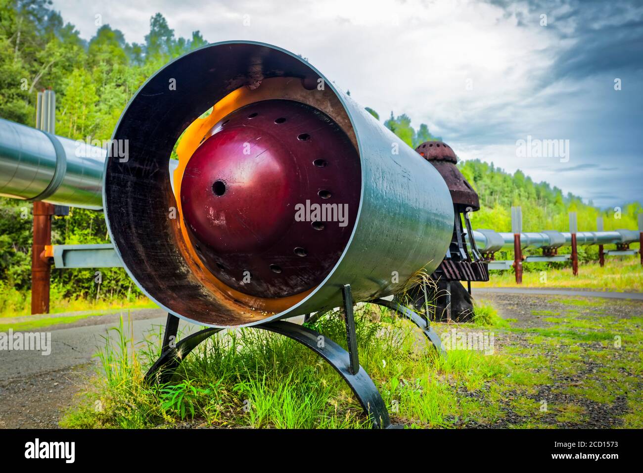 Trans-Alaska Pipeline, Alaska interior en verano; Fairbanks, Alaska, Estados Unidos de América Foto de stock