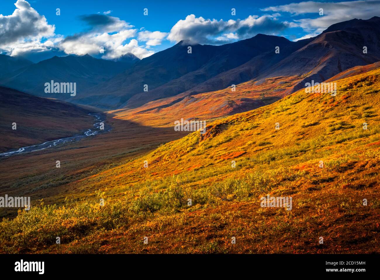 Montañas Brooks y valle Kuyuktuvuk Creek en colores de otoño bajo el cielo azul. Gates of the Arctic National Park and Preserve, Arctic Alaska en otoño Foto de stock