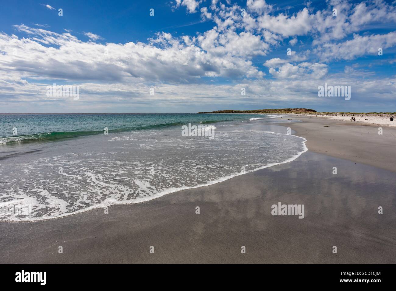 Isla de leones marinos fotografías e imágenes de alta resolución Alamy