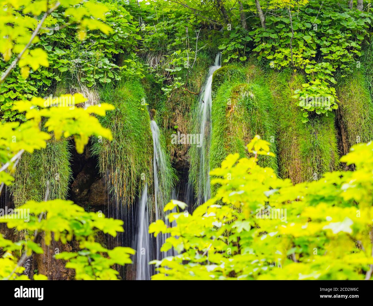 Parque nacional Lagos de Plitvice en Croacia Europa flujo de agua cascada escénico paisaje Foto de stock