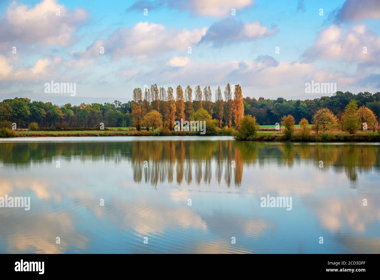 Árboles y nubes reflexiones sobre un estanque en otoño, Borgoña, Francia Foto de stock
