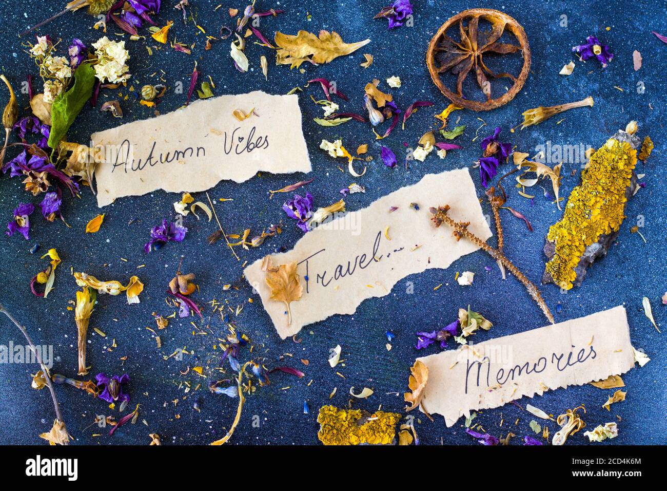 El otoño vibes viajes recuerdos, plantas secas y flores, copiar espacio de pasta, letra y palabras en el papel antiguo, tema herbario. Foto de stock