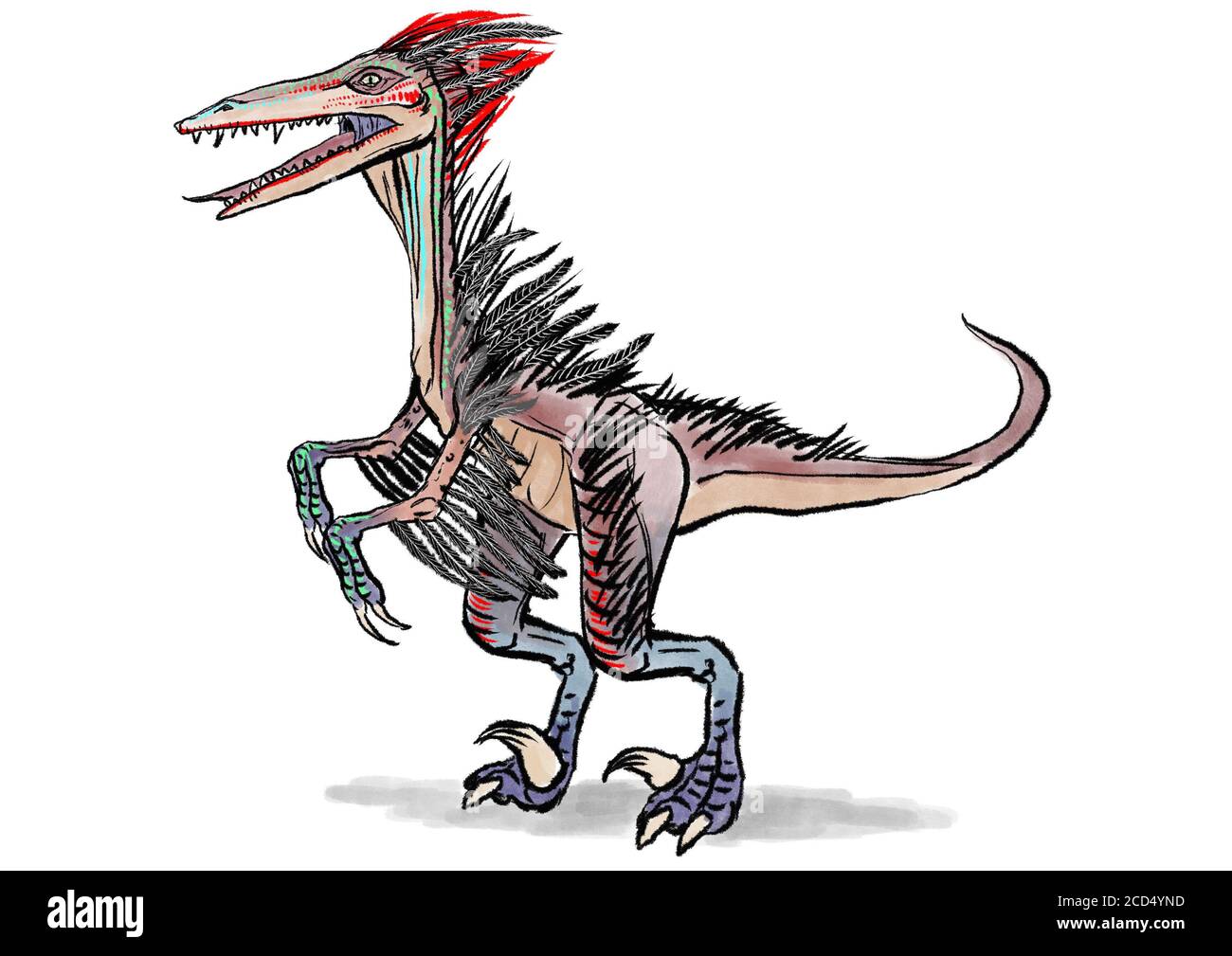 Un dinosaurio velociraptor con plumas de plumaje ilustración Fotografía de  stock - Alamy