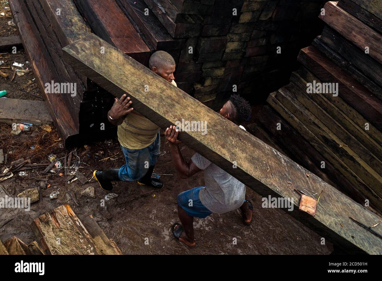 Los portadores afrocolombianos levantan una madera aserrada rugosa,  extraída de la selva tropical del Pacífico, durante el transporte de madera  en el puerto de Turbo, Colombia Fotografía de stock - Alamy