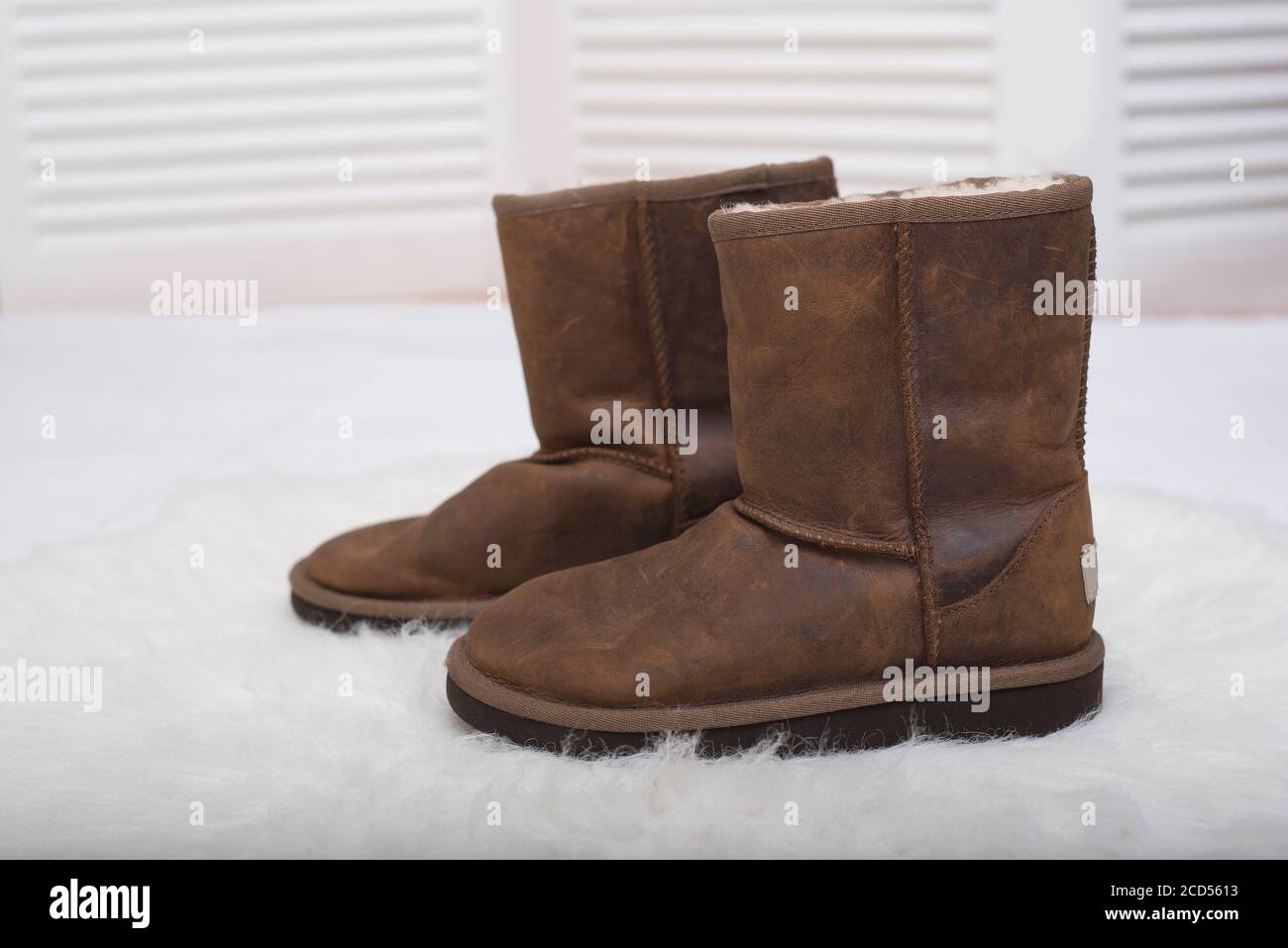 Botas altas de color marrón para mujer | FASHIOLA.es
