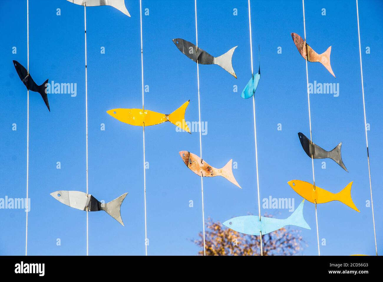 Alambre de pescado fotografías e imágenes de alta resolución - Alamy