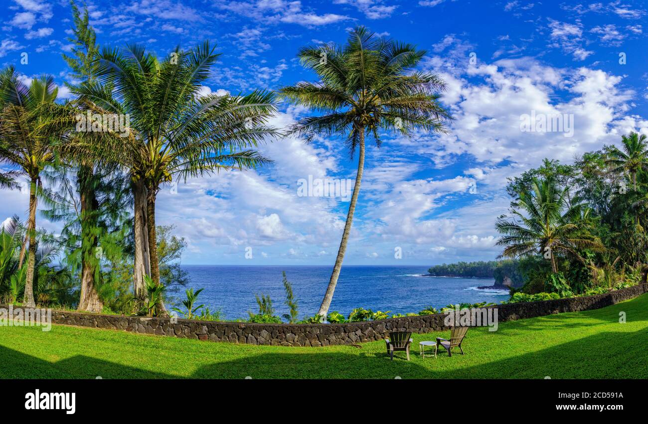 Paisaje con palmeras a orillas de la bahía de Pukaumanu en Honomu, Islas Hawaii, Estados Unidos Foto de stock