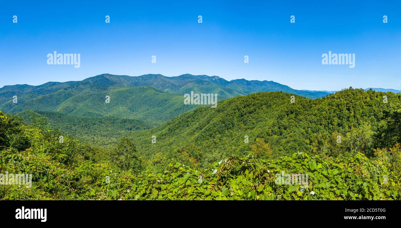 Great Smoky Mountains visto desde Blue Ridge Parkway, Carolina del Norte, Estados Unidos Foto de stock