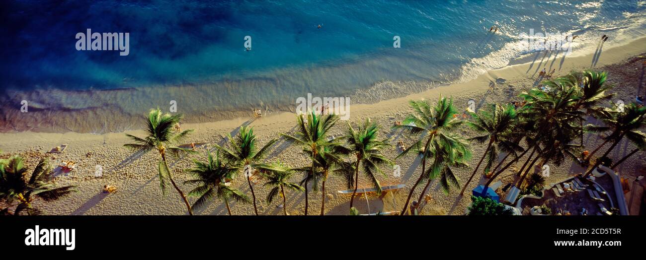 Vista de gran ángulo de las palmeras en la playa de arena Waikiki y el mar azul, Waikiki, Hawai, Estados Unidos Foto de stock