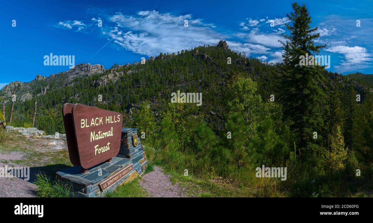 Firme en el Bosque Nacional Black Hills, Rapid City, Dakota del Sur, EE.UU Foto de stock